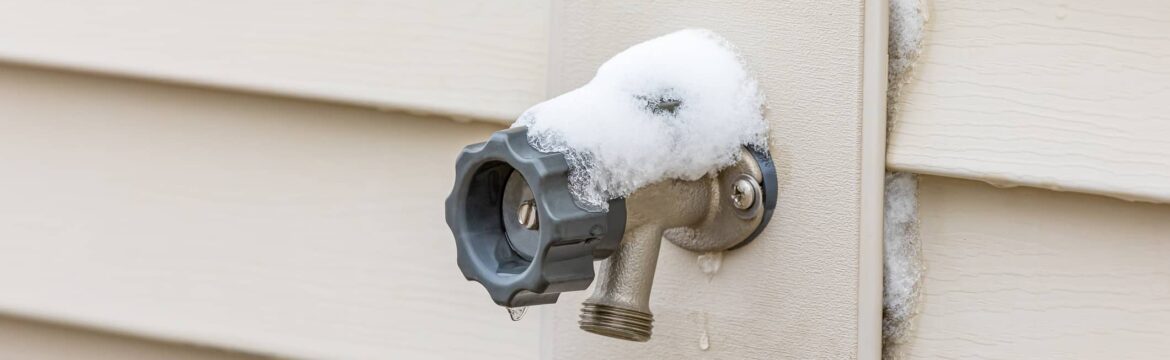 how to prevent common holiday plumbing problems