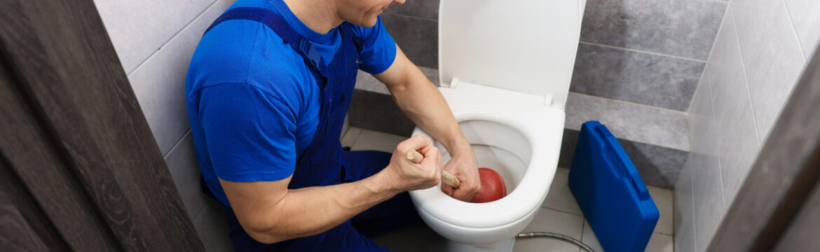 how to unclog a toilet​