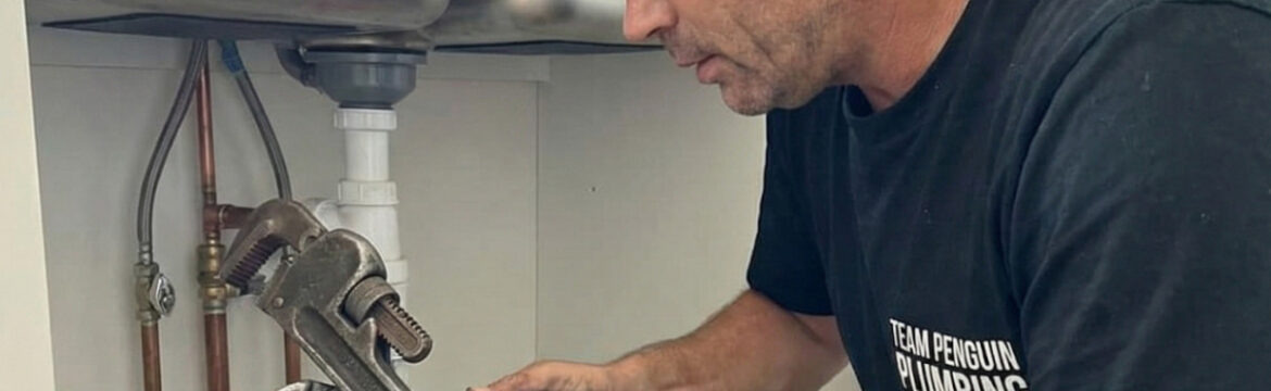 plumber mittagong